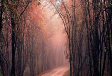 欧博：[国际足球]奥尔莫巧妙做球 亨里希斯低射破门.