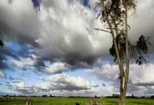 [图]武磊帽子戏法 海港3-1大胜浙江豪取10连胜.