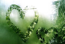 [图]武磊帽子戏法 海港3-1大胜浙江豪取10连胜.